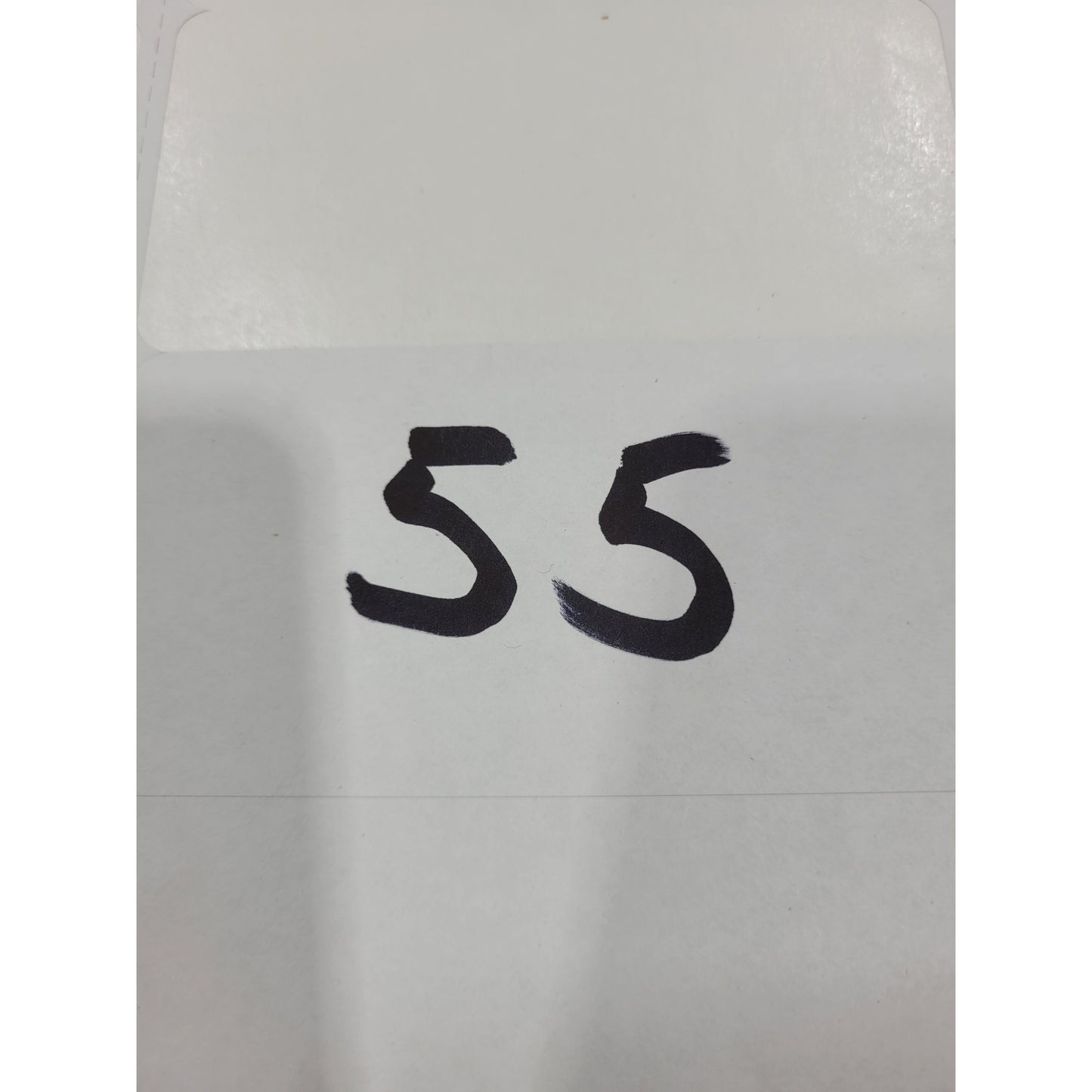 PD-840-S/WHSS (Demo shower column #55)