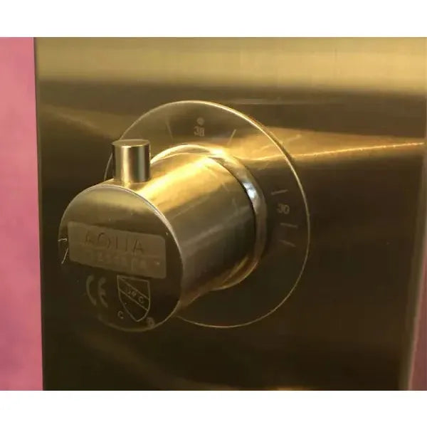 Thermostatic handle Aquamassage